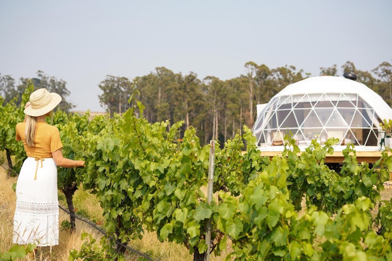 Вілла Domescapes In The Vines Sidmouth Екстер'єр фото