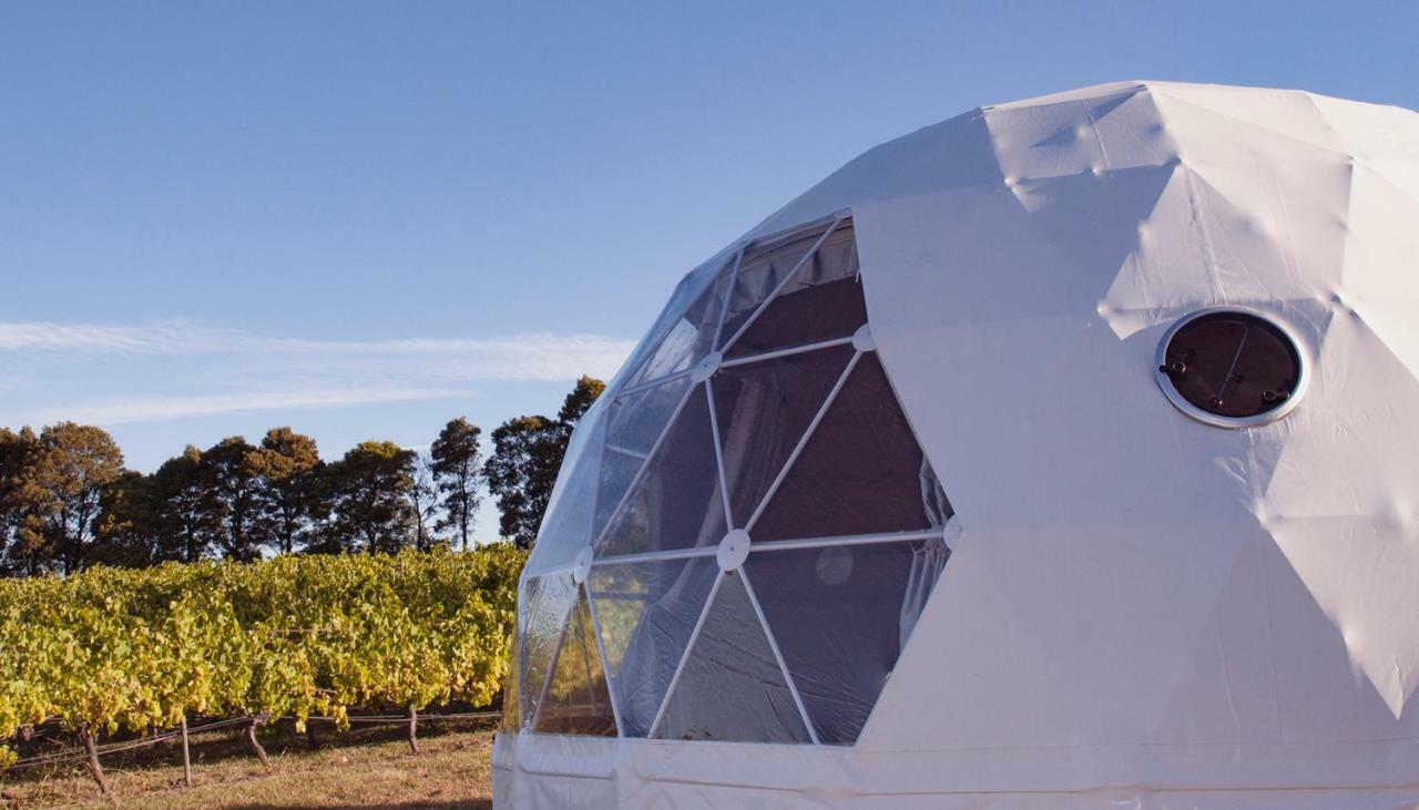 Вілла Domescapes In The Vines Sidmouth Екстер'єр фото